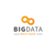 BigData Boutique Logotype