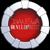 Daniswa Development Logotype