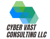 Cyber Vast Consulting, LLC. Logotype