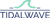 TidalWave Marketing LLC Logotype