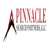 Pinnacle Search Partners Logotype
