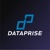 Dataprise Logotype