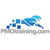 PMOtraining.com Logotype