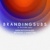 BRANDINGSUBS Logotype