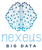 Nexeus Big Data Logotype