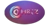 Combiz services pvt ltd Logotype