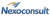 Nexoconsult Logotype