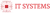 IT Systems Vietnam Ltd, Logotype