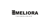 Digitalmeliora Technologies Pvt Ltd Logotype