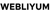 Webliyum - Dijital Performans Ajansı Logotype