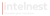 Intelnest Logotype