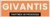 Givantis IT Services Logotype