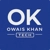 Owais Web Solutions Logotype