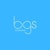 Bgs Accounting Logotype
