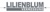 Lilienblum Vermessung- ÖbV Gert T. Lilienblum Logotype