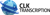 CLK Transcription, Inc. Logotype