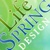 LifeSpring Design Logotype