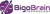 BigoBrain Technology LLC Logotype
