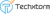 Techxtorm Logotype