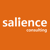 Salience Consulting Logotype