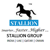 Stallion Systems and Solutions Pvt Ltd Logotype