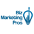Biz Marketing Pros Logotype