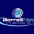 BorrelliNet I.T. Services, Inc. Logotype