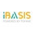 iBasis Logotype
