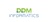 DDM Informatics Logotype