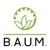 BAUM Consult GmbH Logotype