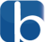Bluelook:Web & mobile app development Logotype