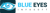 BLUE EYES INFOSOFT PVT LTD Logotype