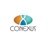 Conexus S.A. Logotype