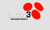 Punto 3 Logotype