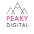 Peaky Digital Logotype