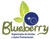 Blueberry Eventos Logotype