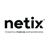 Netix Logotype
