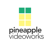 Pineapple Videoworks Logotype
