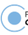 Fortuneglobe Logotype