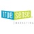 TrueSense Marketing Logotype