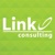 Link Consulting Services (LinkCS) Logotype