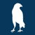 Bluehawk Consulting Logotype