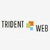 Trident Web Infoservices Pvt. Ltd. Logotype