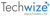 TechWize Logotype