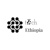 Tech5 Ethiopia IT SOLUTION PLC Logotype