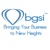 Business Growth Strategies International, LLC Logotype