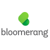 Bloomerang Logotype