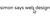 simon says web design Logotype