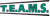 TEAMS Transport Logotype