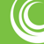 Savvy Pro Web Logotype